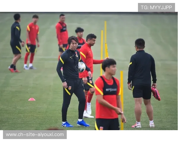 全球球迷翘首以盼，期待高水平足球赛事，高水平足球测试